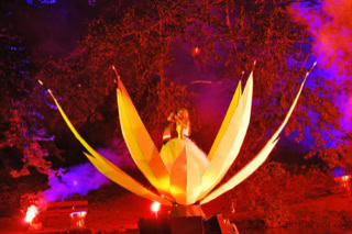 Seerose, Singende Säge, Schwimmbühne, Dresdner Schlössernacht