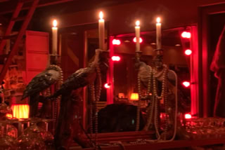 Dekoration Papageien Kerzen Spiegel Perlenketten