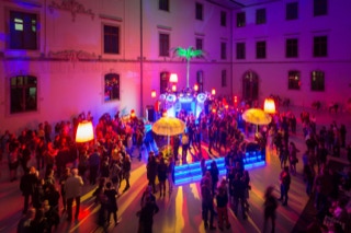 Palme, Albertinum Dresden