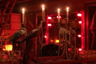 Dekoration Papageien Kerzen Spiegel Perlenketten